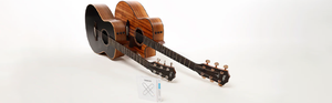 Taylor® Guitars Announces Transition to D'Addario Coated XS Phosphor Bronze Strings