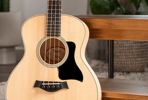 Taylor Guitar