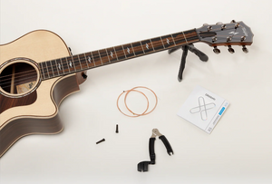 Taylor Guitar and D'Addario Accessories