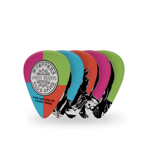 (1CWH2-10B6) 1CWH2-10B6