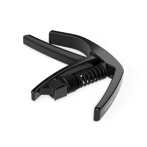 (PW-CP-10) PW-CP-10