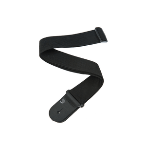(PWS100) PWS100
