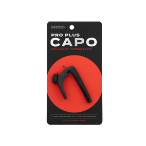 (PW-CP-19) PW-CP-19