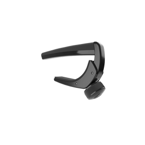 (PW-CP-19) PW-CP-19