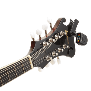 (PW-CT-13) PW-CT-13