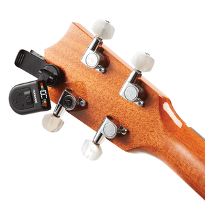 (PW-CT-13) PW-CT-13