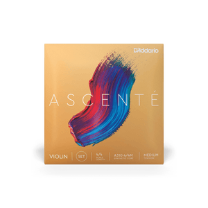 (A313 4/4M) A313 4/4M