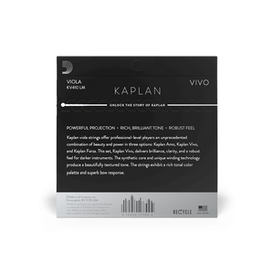 (KV411 LM) KV411 LM