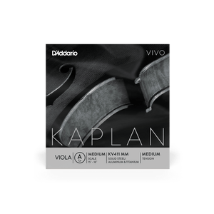 (KV411 MM) KV411 MM