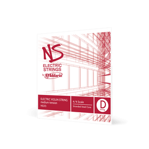 (NS313) NS313