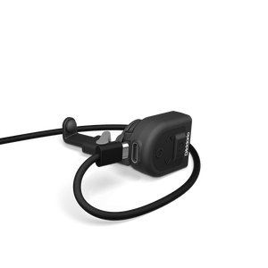 (PW-CT-35)