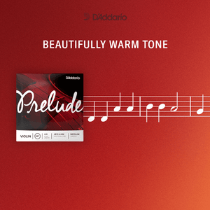 (all)