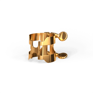 (HSS1G)