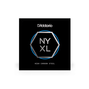 (NYS024) NYS024