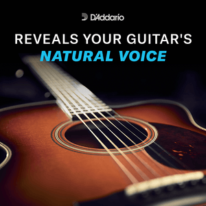 (NB13556BT)