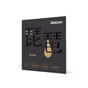 (PIPA01)