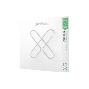 ds_XSM11541_main1a_transparent_web.png