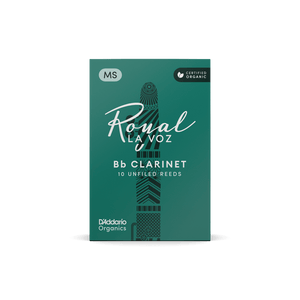 (RCC10MS) RCC10MS