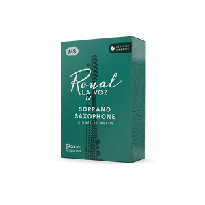 (RIC10MS) RIC10MS