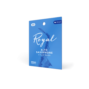 (RJB0330) RJB0330