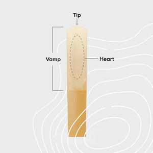 REED FEATURES