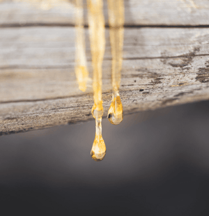Rosin