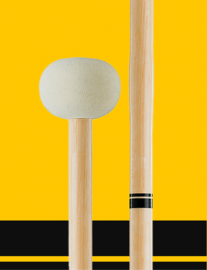 Marching Percussion Survival Guide