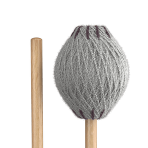 (SM1)