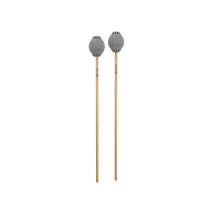(SM1)